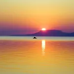 Balaton Art