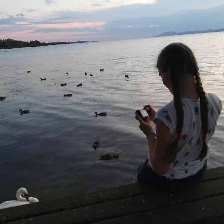 Balaton Art Pensión Balatonszárszó