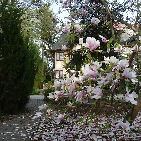 Maison d'hôtes Balaton Art 3*